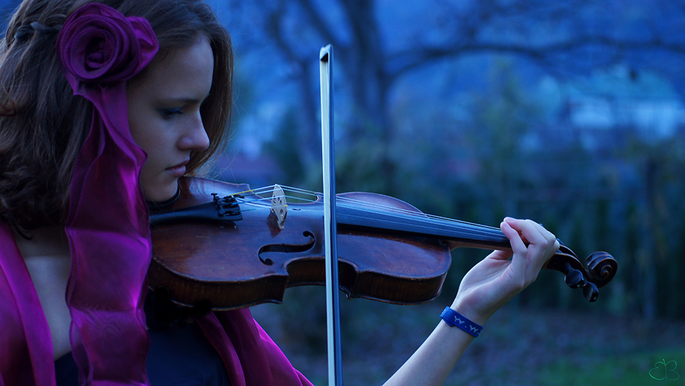 moonlight violin