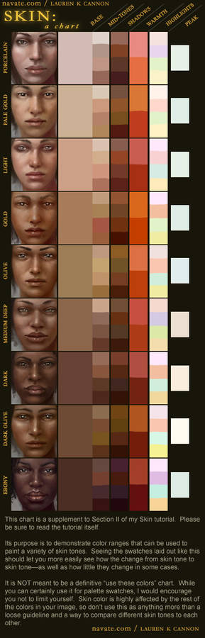SKIN: a chart - SUPPLEMENT IMG