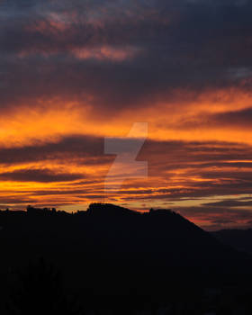 Looking out my window (VII)
