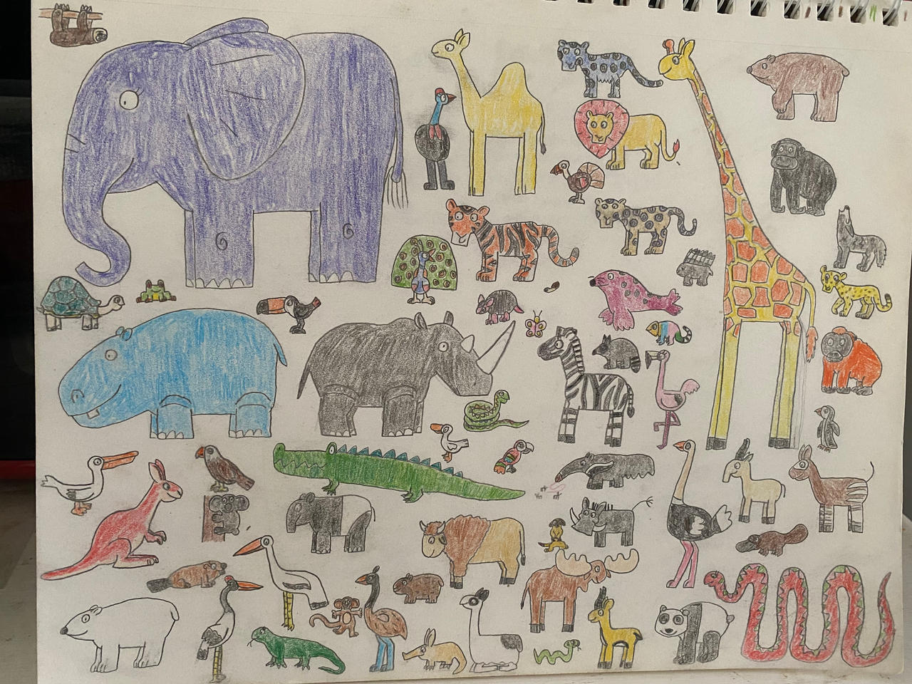 Eleraffe Menagerie by Eleraffe on DeviantArt