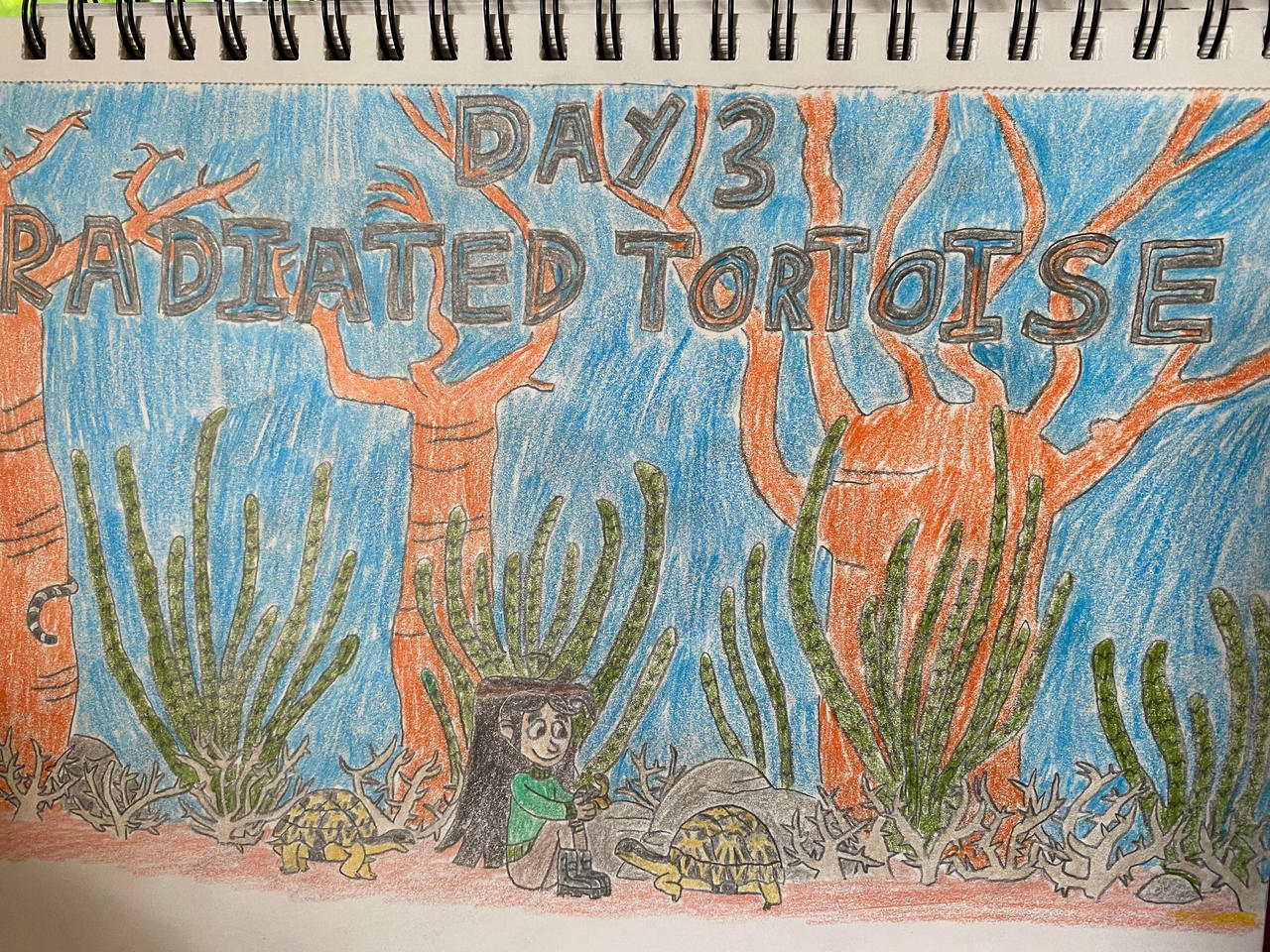 Eleraffe Safari-Tember Day 3 - Radiated Tortoise by Eleraffe on DeviantArt