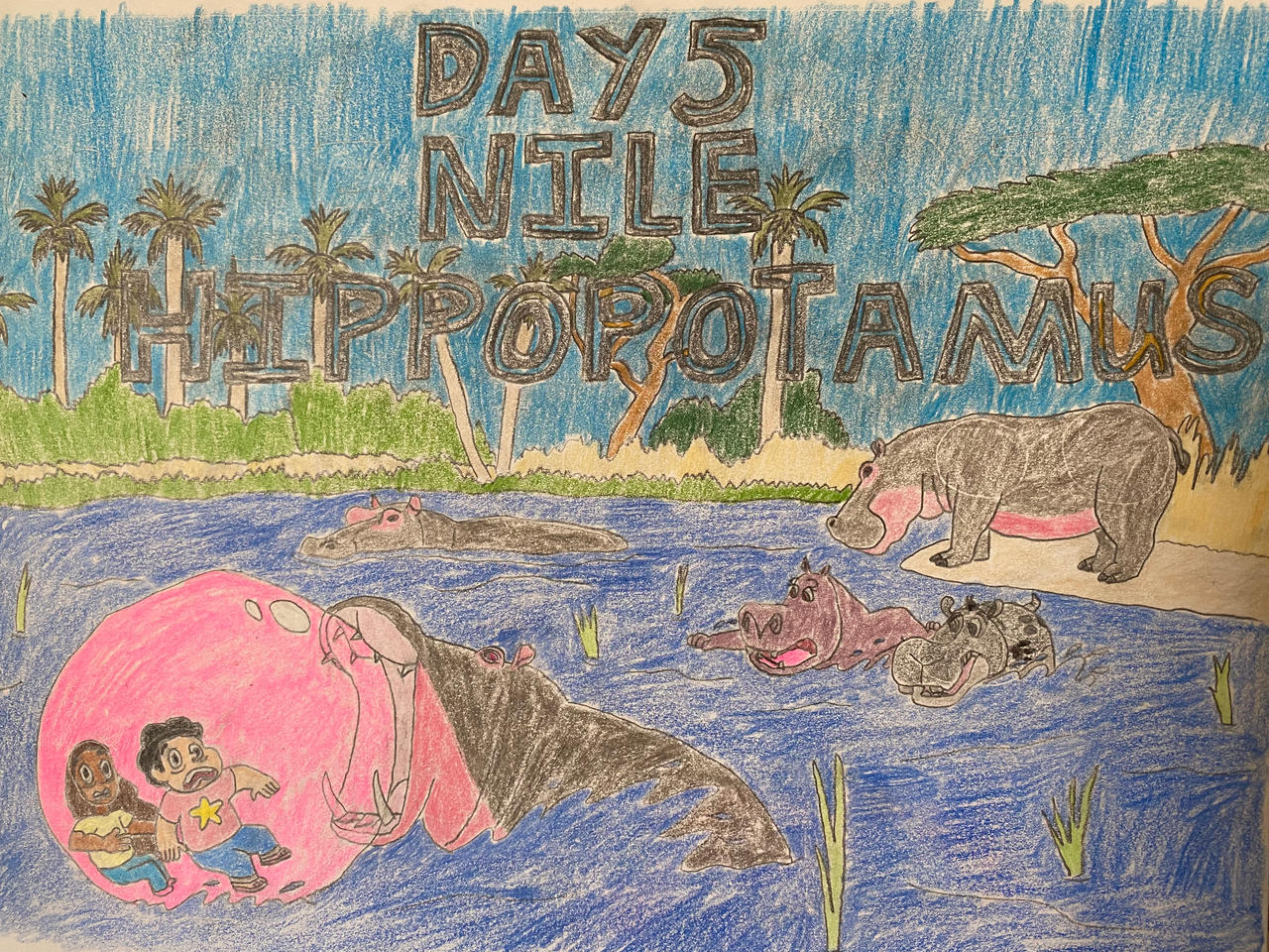 Eleraffe Safari-Tember Day 5 - Nile Hippopotamus by Eleraffe on DeviantArt