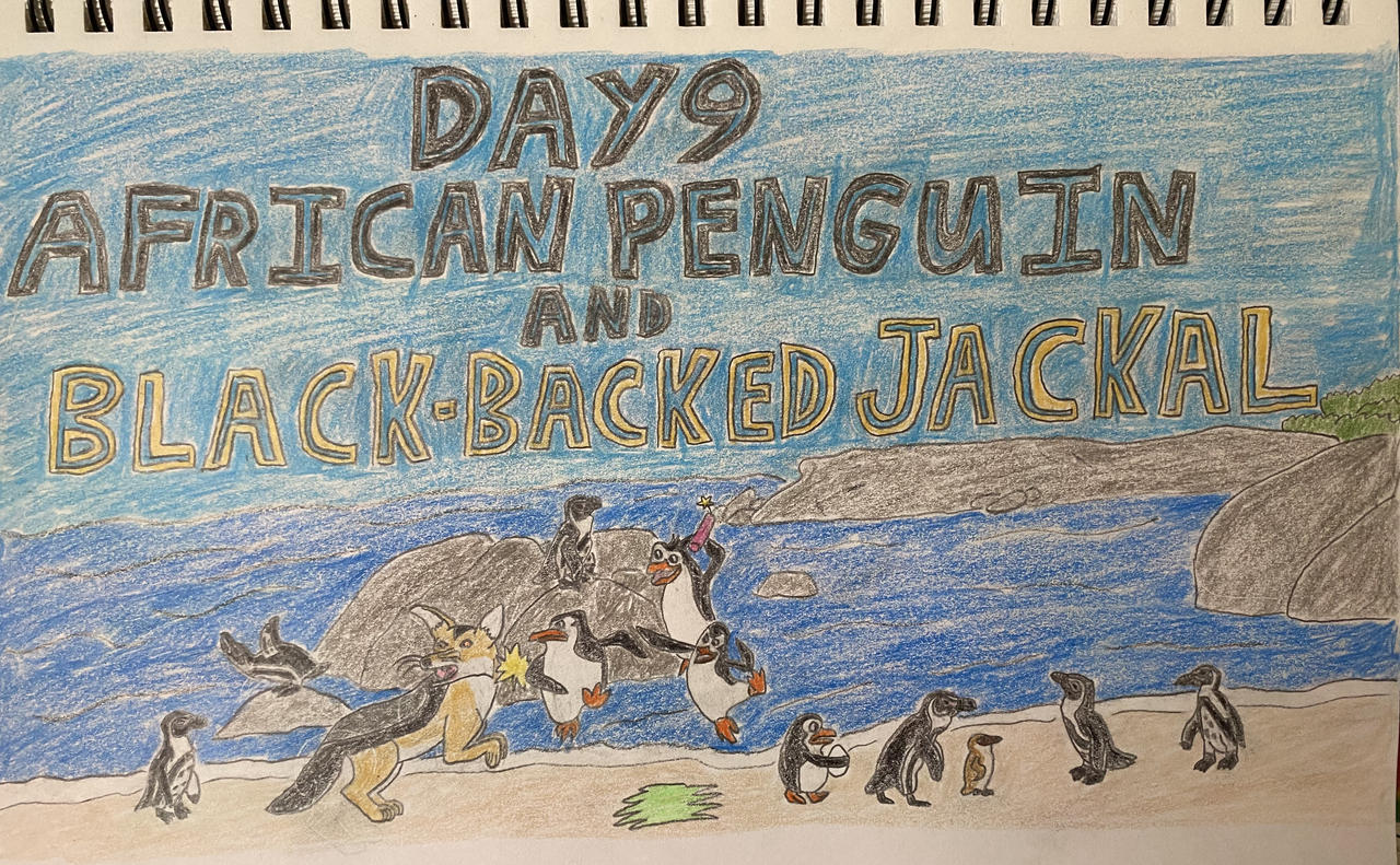 Eleraffe Safari-Tember Day 9 - African Penguin and Jackal by Eleraffe on DeviantArt
