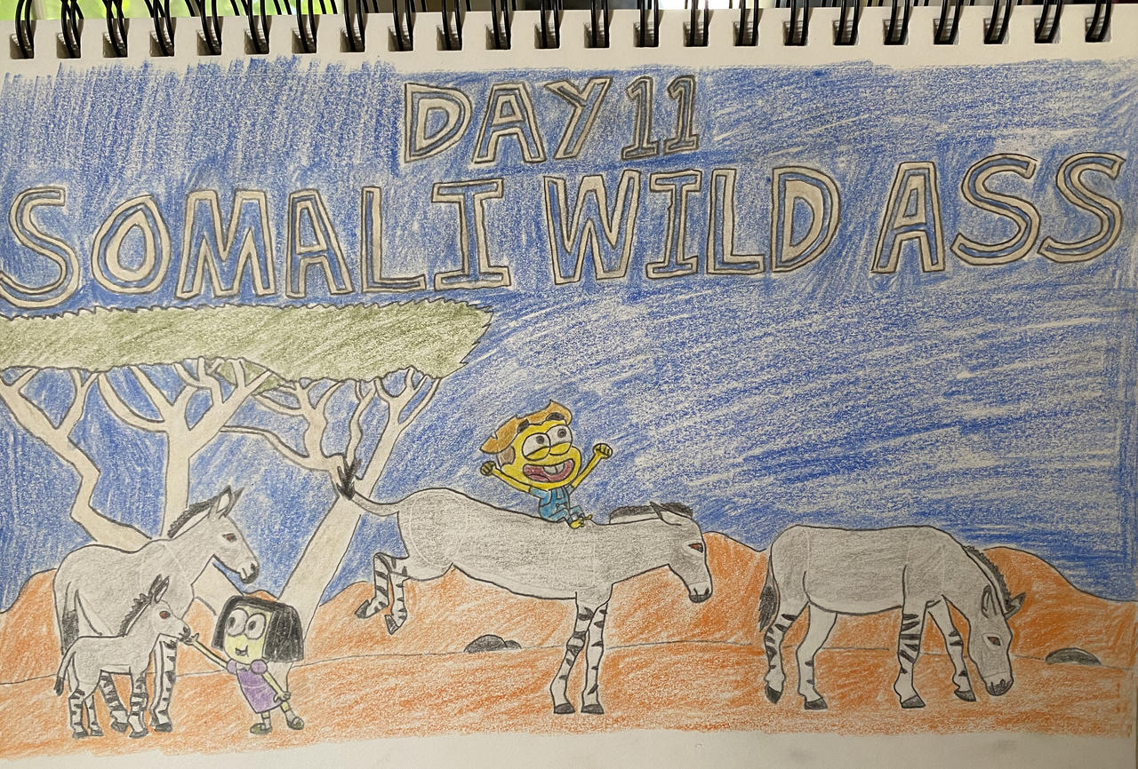 Eleraffe Safari-Tember Day 11 - Somali Wild Ass by Eleraffe on DeviantArt