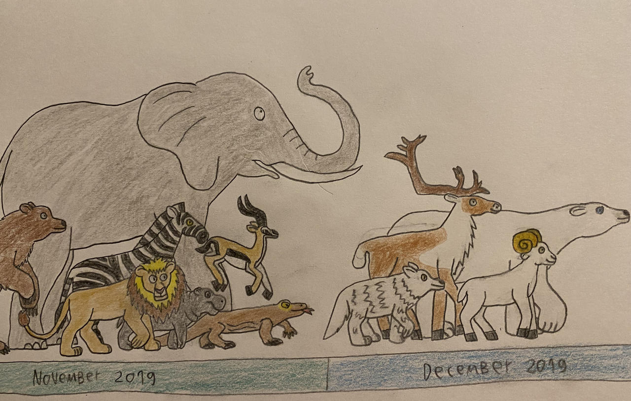 Eleraffe Five Years of Planet Zoo - 2019 by Eleraffe on DeviantArt