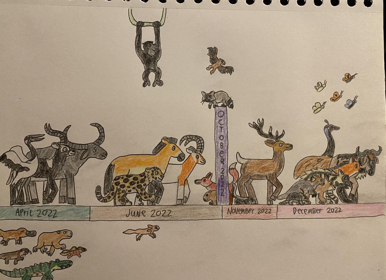 Five Years of Planet Zoo - 2022