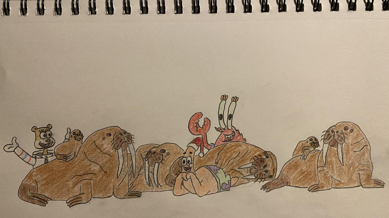 Eleraffe Zoocember 2024: Six Walrus Basking by Eleraffe on DeviantArt