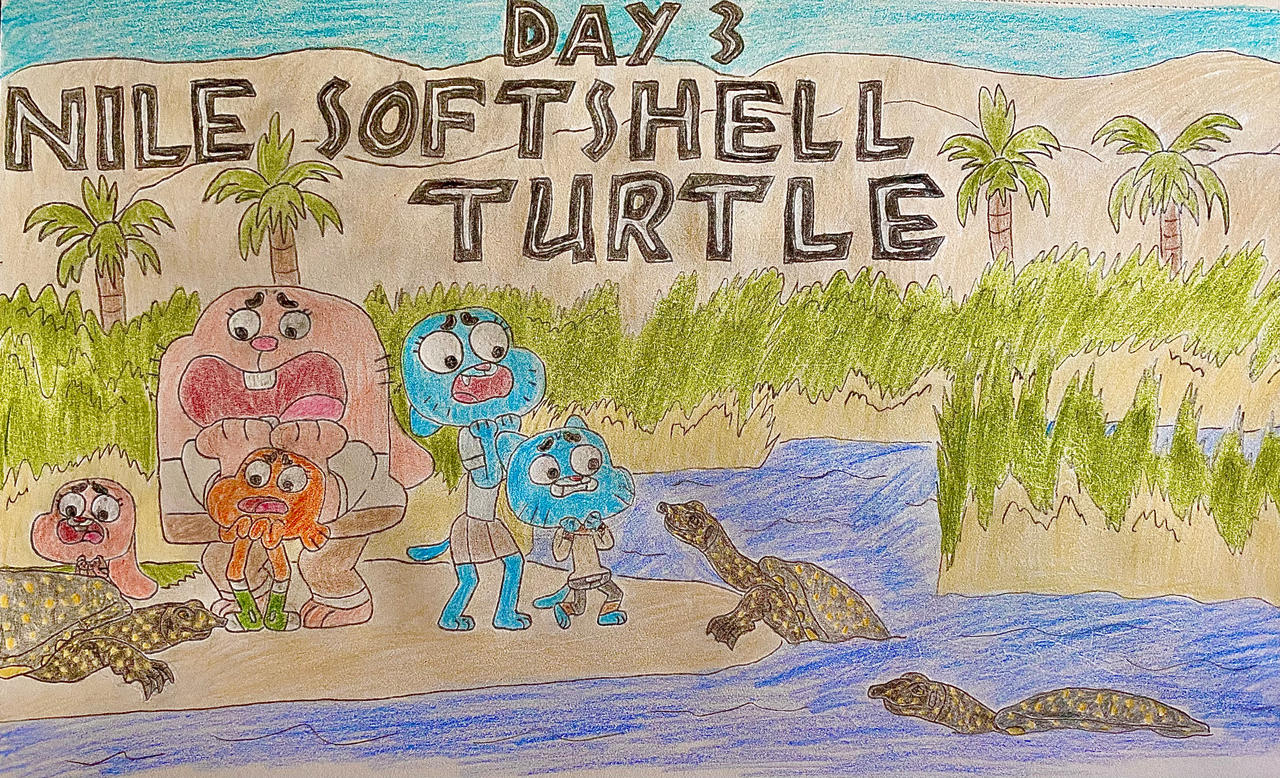 Deviantart Softshell Turtle Safari-Tember Day 3 - Nile Softshell Turtle by Eleraffe on DeviantArt