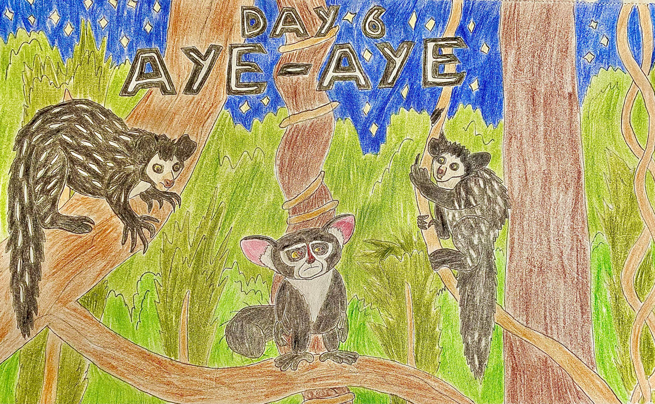 Eleraffe Safari-Tember Day 6 - Aye-Aye by Eleraffe on DeviantArt