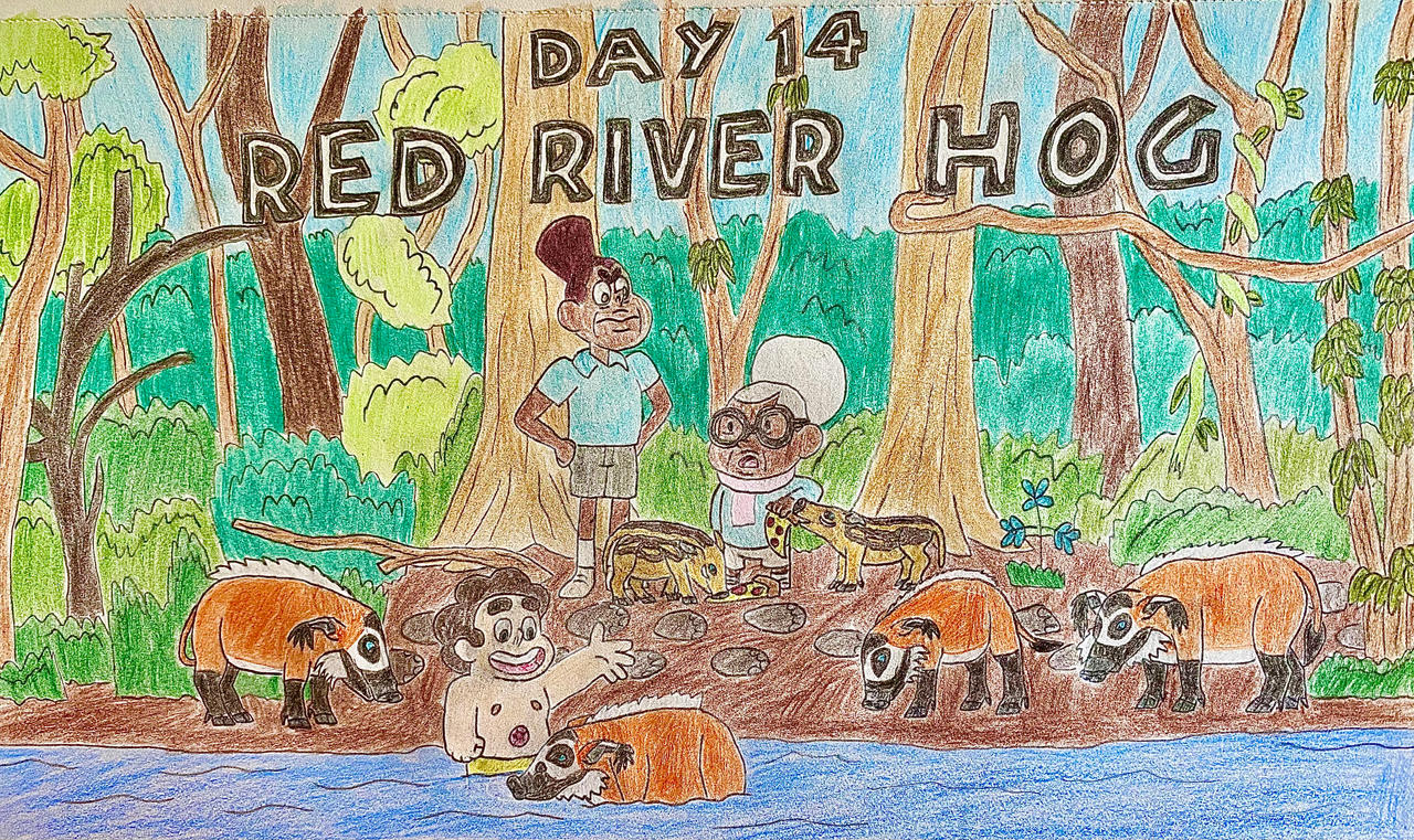Eleraffe Safari-Tember Day 14 - Red River Hog by Eleraffe on DeviantArt