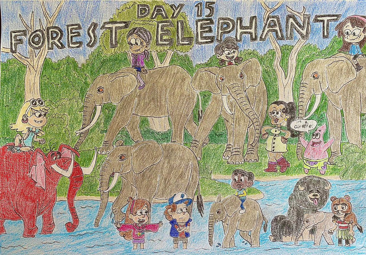 Eleraffe Safari-Tember Day 15 - Forest Elephant by Eleraffe on DeviantArt