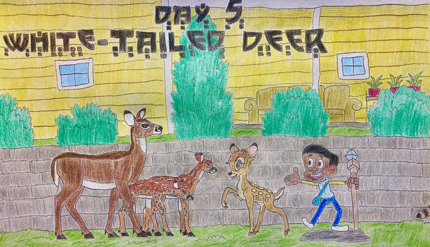 Eleraffe North-Vember 2025 by Eleraffe on DeviantArt