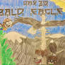 North-Vember Day 30 - Bald Eagle