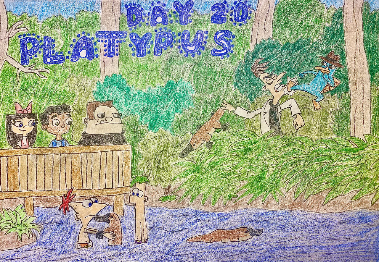 Eleraffe Oceania-uary Day 20 - Platypus by Eleraffe on DeviantArt