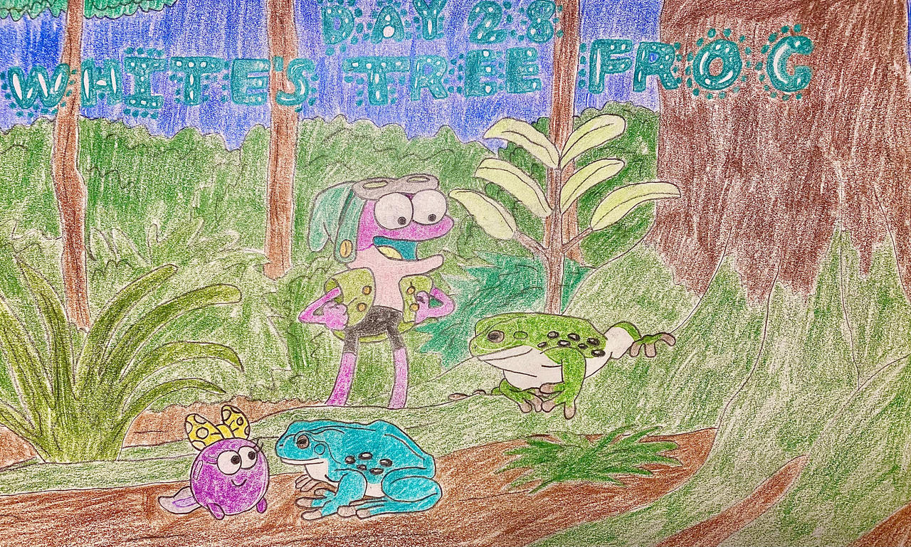 Eleraffe Oceania-uary Day 28 - Whites Tree Frog by Eleraffe on DeviantArt