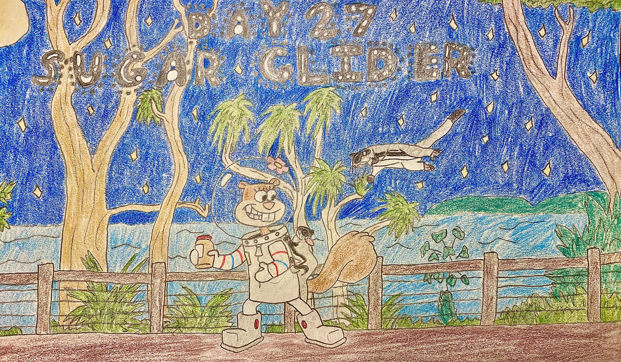 Eleraffe Oceania-uary Day 27 - Sugar Glider by Eleraffe on DeviantArt