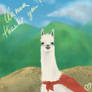 llama