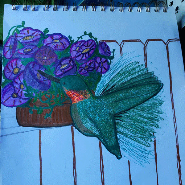 Hummingbird Animation Wing Hummingbird-wing-animation by subocaj711 on DeviantArt