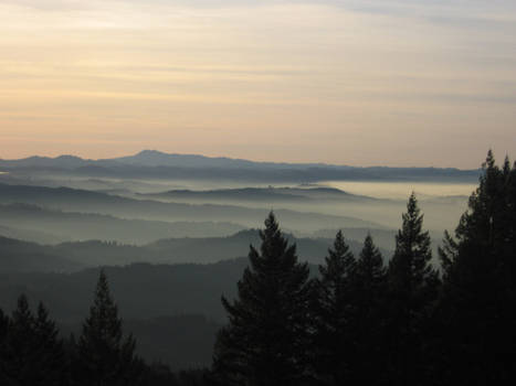 Fog from the butte