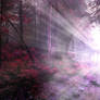 Apparition