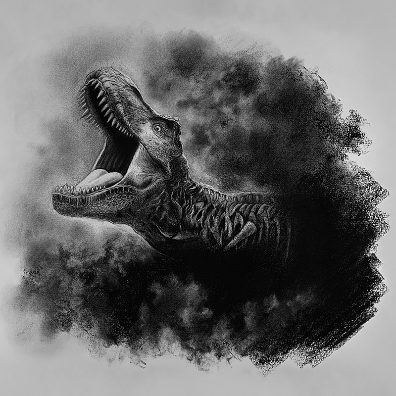 Charcoal drawing of a Tyrannosaurus Rex by p3vstudio on DeviantArt