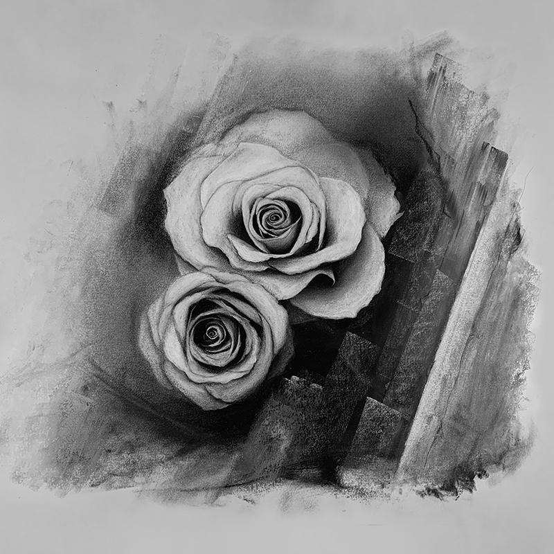 Charcoal drawing of Rose flowers by p3vstudio on DeviantArt
