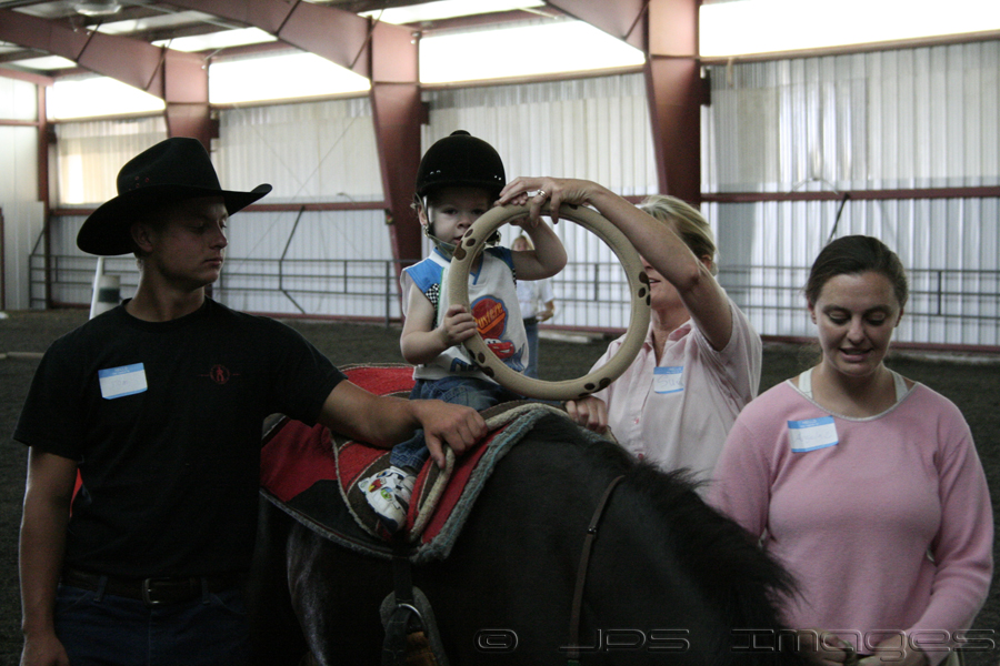 Steering the Horse