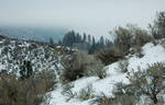 Snow N Sage Hillside by poncho-6668