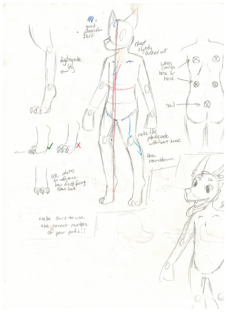 Digitigrade Legs Insect digitigrade legs tutorial by APnucka on DeviantArt