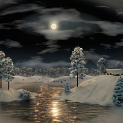 Winter night