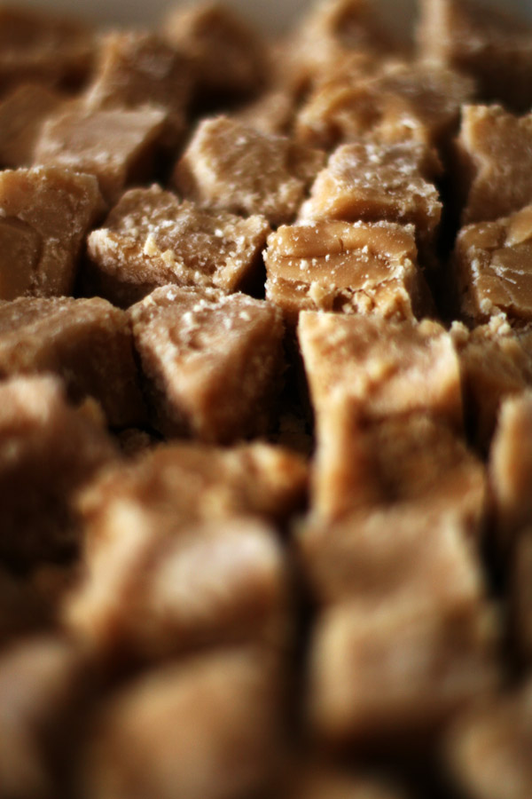 Fudge by happienoodleboy Fudge by happienoodleboy
