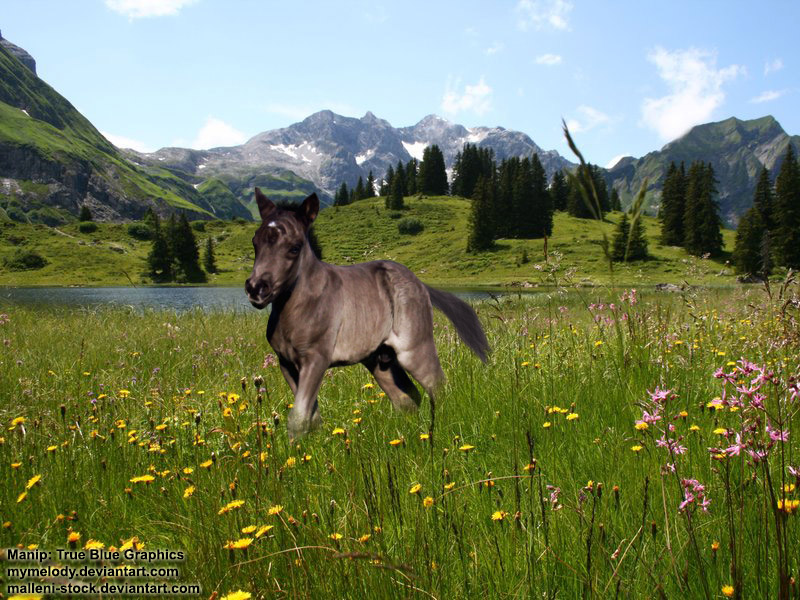 Lady-rancher by AoiHaruDesigns on DeviantArt