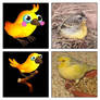 Zoo Craft - Canary