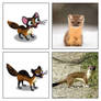 Zoo Craft - Marten