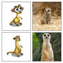 Zoo Craft - Meerkat