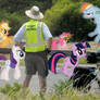 Pony Patrol