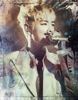 CHOI SEUNG HYUN _TOP_- MADE TOUR EDIT