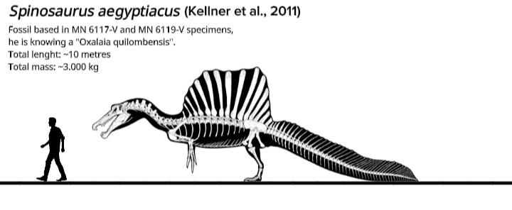 Spinosaurus Size Comparison By Paleoartest On DeviantArt spinosaurus-size-comparison-by-paleoartest-on-deviantart