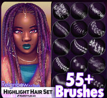Hair Highlight Brush Collection