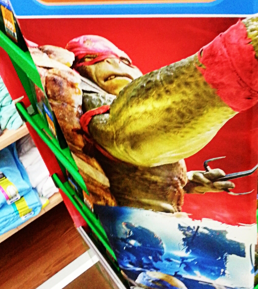 Buff Turtle by Loisfirefly on DeviantArt