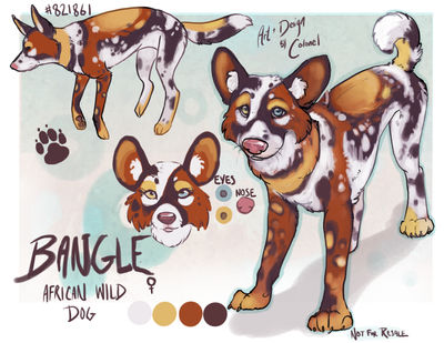 Bangle- AWD