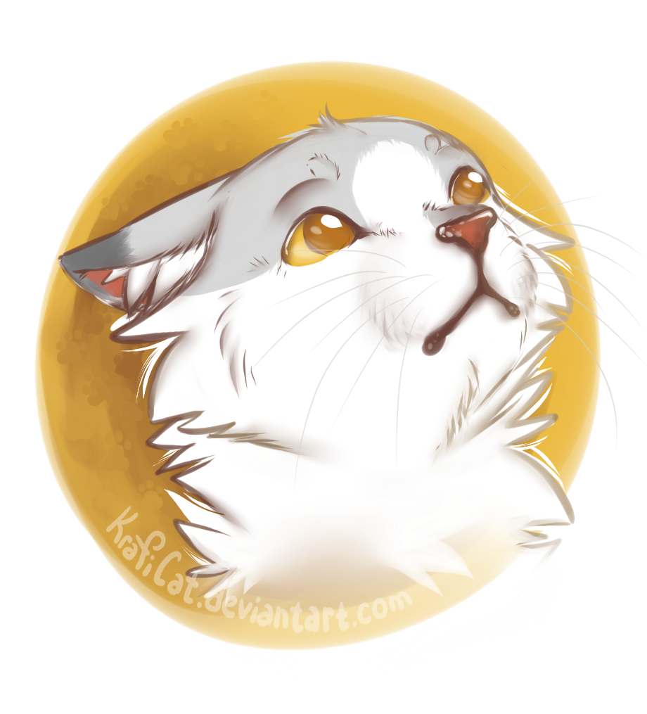 Sketch headshot cat