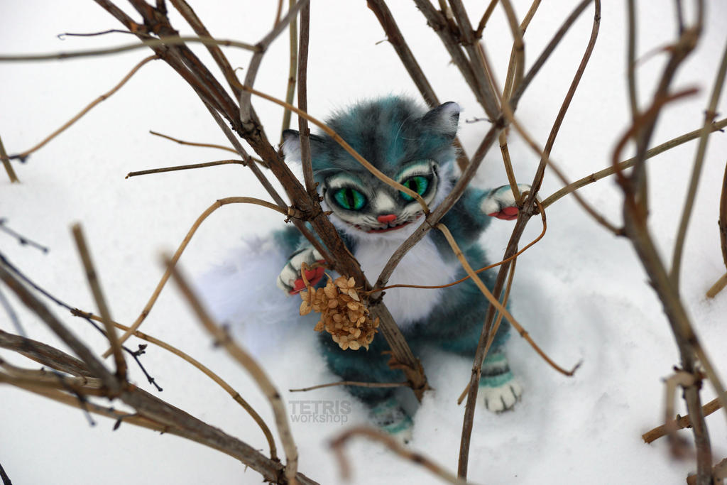 Cheshire cat walks in the snow 3