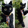 Fullsuit black cat 2019