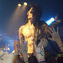 Ashley Purdy