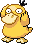 Psyduck Scratch