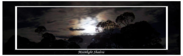 Moonlight Shadow