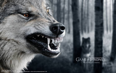 Wolf Stark Game of Thrones