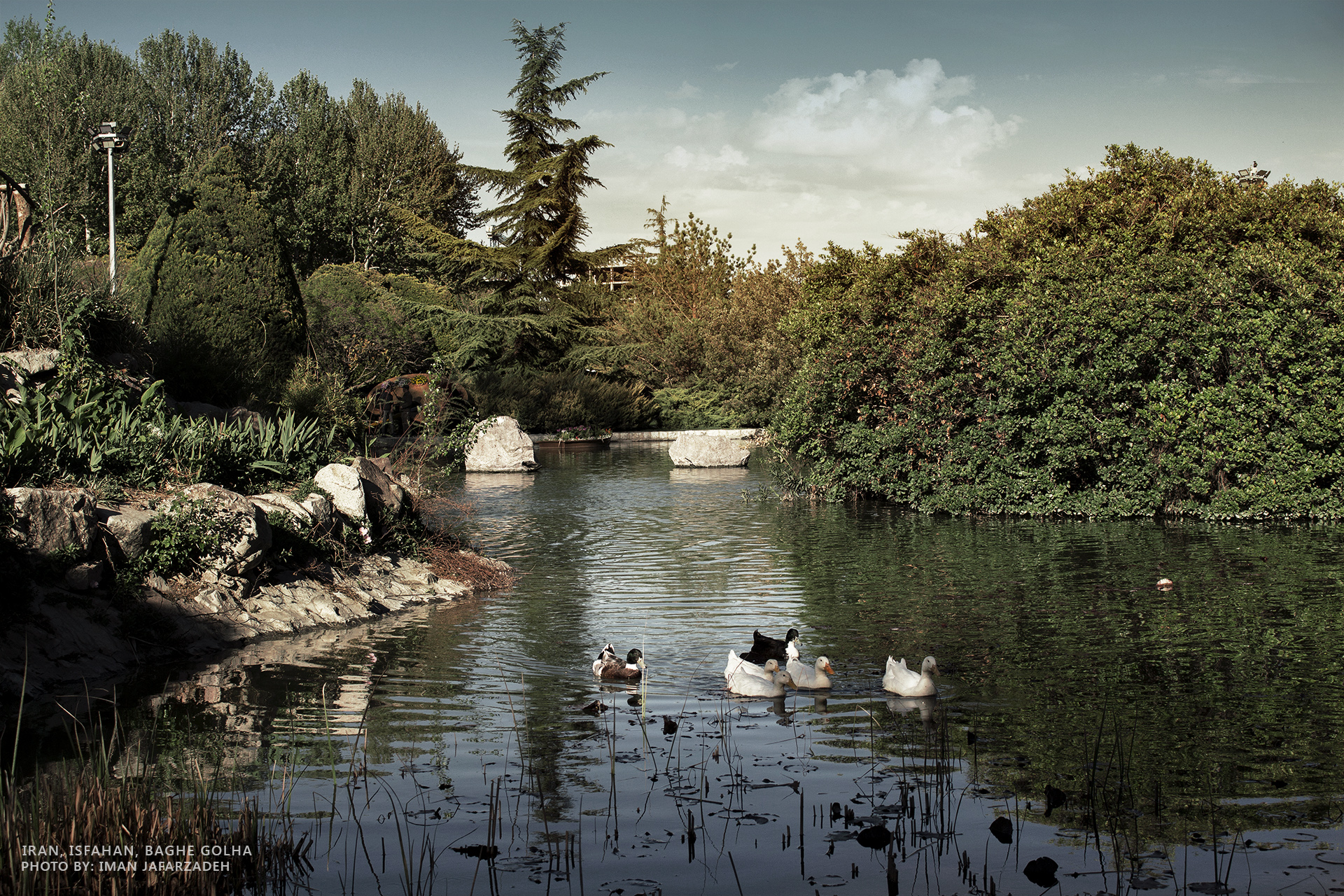 Isfahan - Baghe Golha ( Flowers Garden ) by belief2