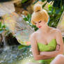 Tinkerbell Cosplay